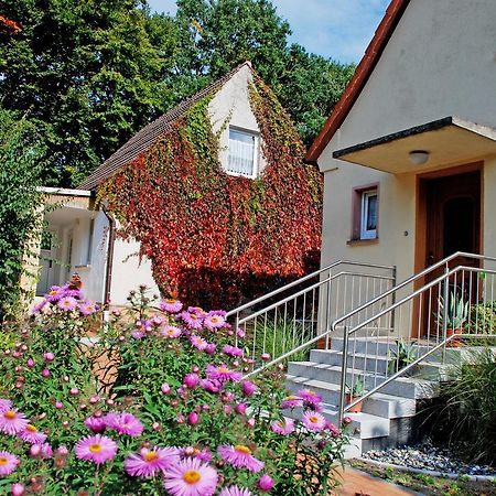 Ferienwohnungen Im Ostseebad Baabe Zewnętrze zdjęcie